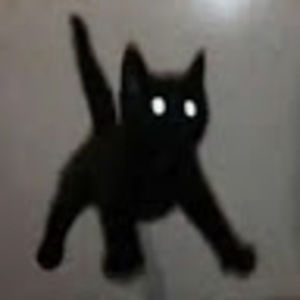 Meet your Posher, Cat